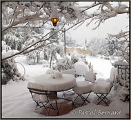 Jardin provenal  d'Aix hiver 2009