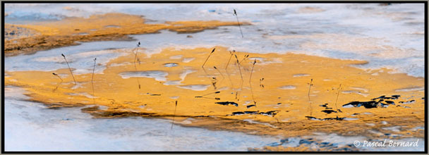 Reflet du Brec de Chambeyron