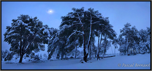 Chemin du barrage de Bimont hiver 2009