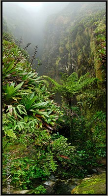 Guadeloupe