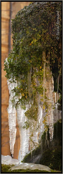 Fontaine D'Aix en Provence