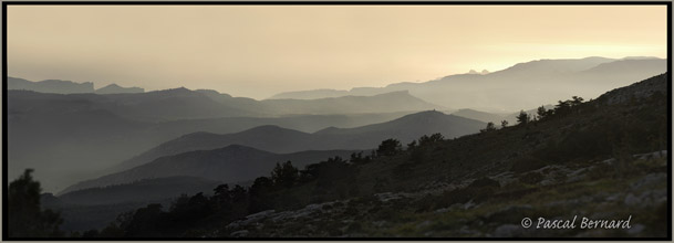 Sainte Baume : vue de la cte