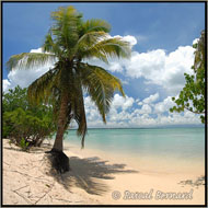 Guadeloupe Iles