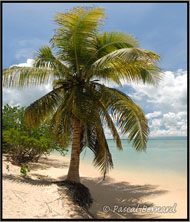 Guadeloupe Iles