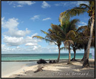 Guadeloupe Iles