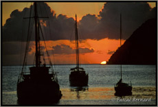 Martinique