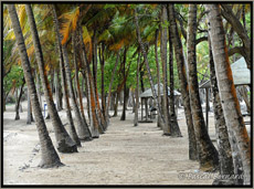 Les Saintes