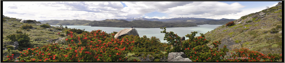 Lago Nordenskjld