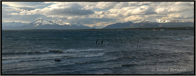 Puerto Natales
