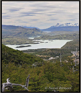 Au fond Lago Pehoe