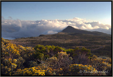 La route du Volcan