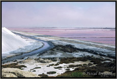 Salins de Giraud